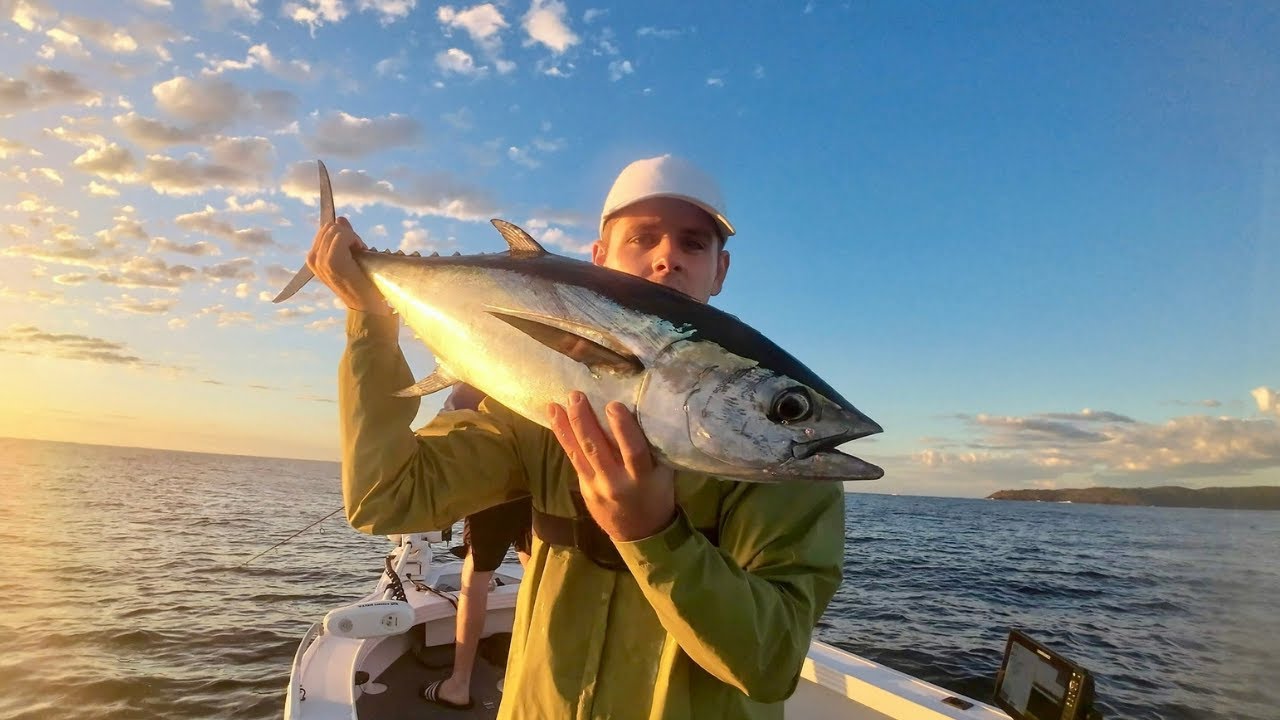 Catching Longtail Tuna On Lures - Sunshine Coast QLD