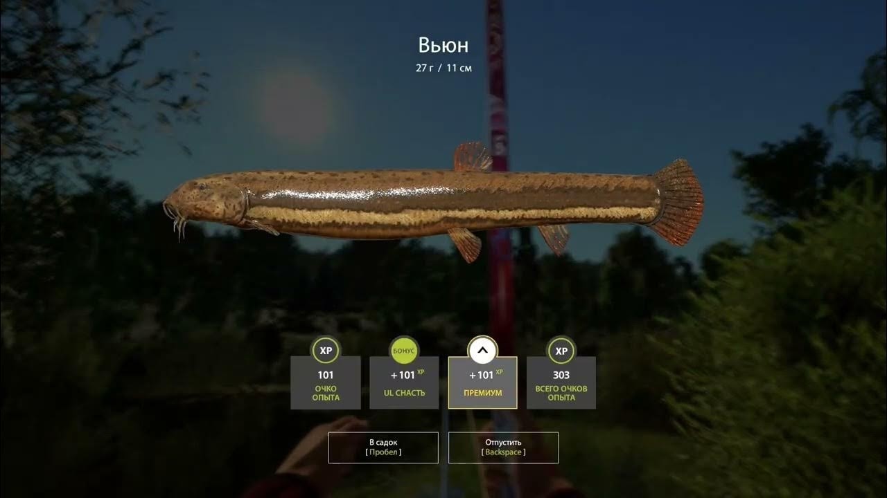 рр 4 раздача Вьюна на Комарином! Все сюда!!!!