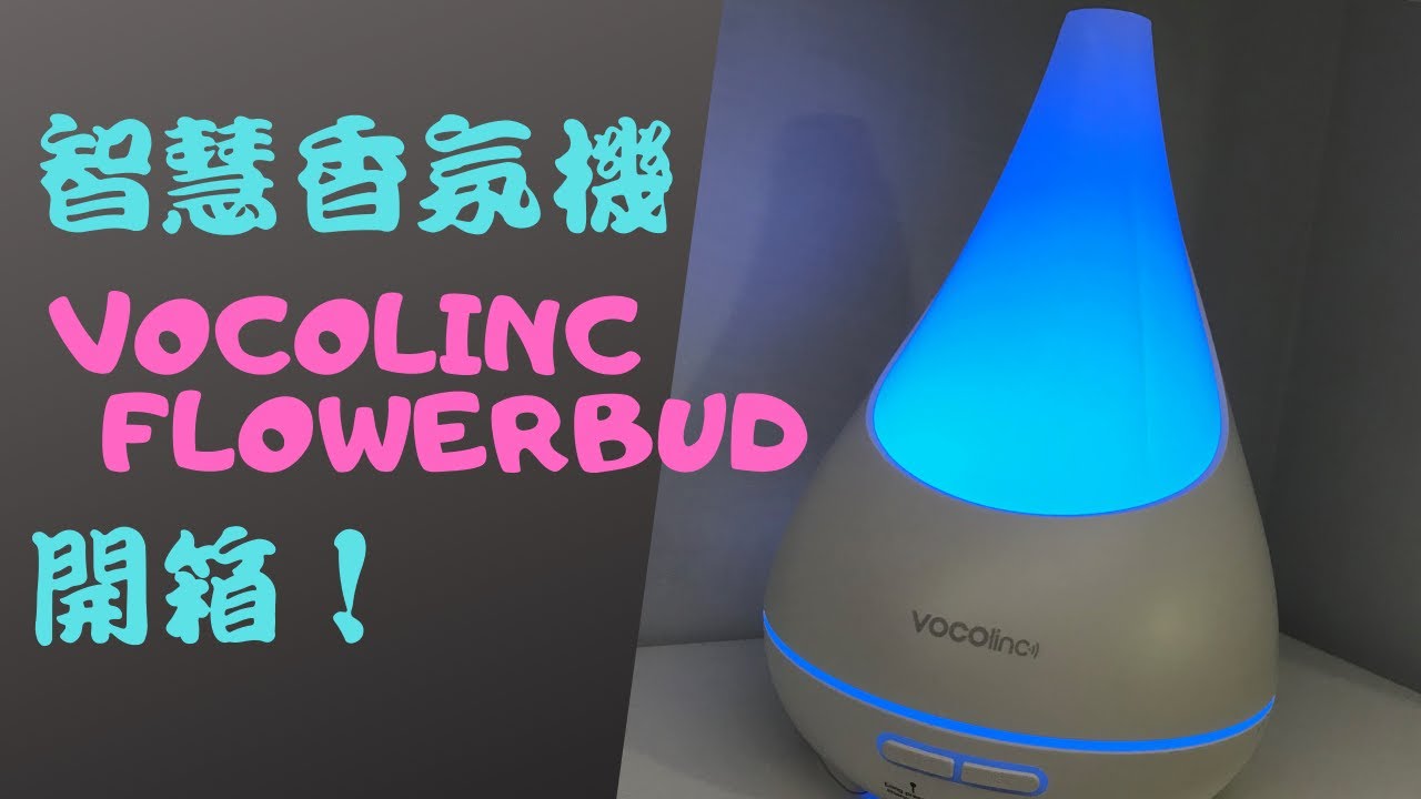 【智慧小物Ep1】VOCOlinc 智慧香氛機/智慧加濕器FlowerBud 開箱！連香氛機都能用語音助理聲控，還有彩光情境燈營造氣氛（支援HomeKit、Google助理）