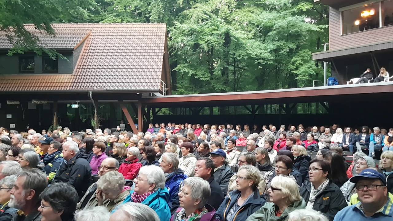 20160617 König der Löwen - Osterwaldbühne