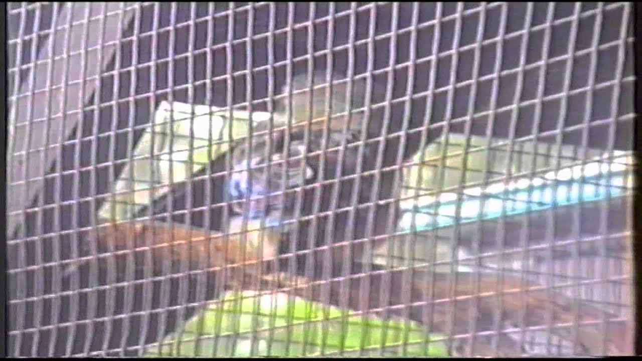 Australia's Wonderland 1997