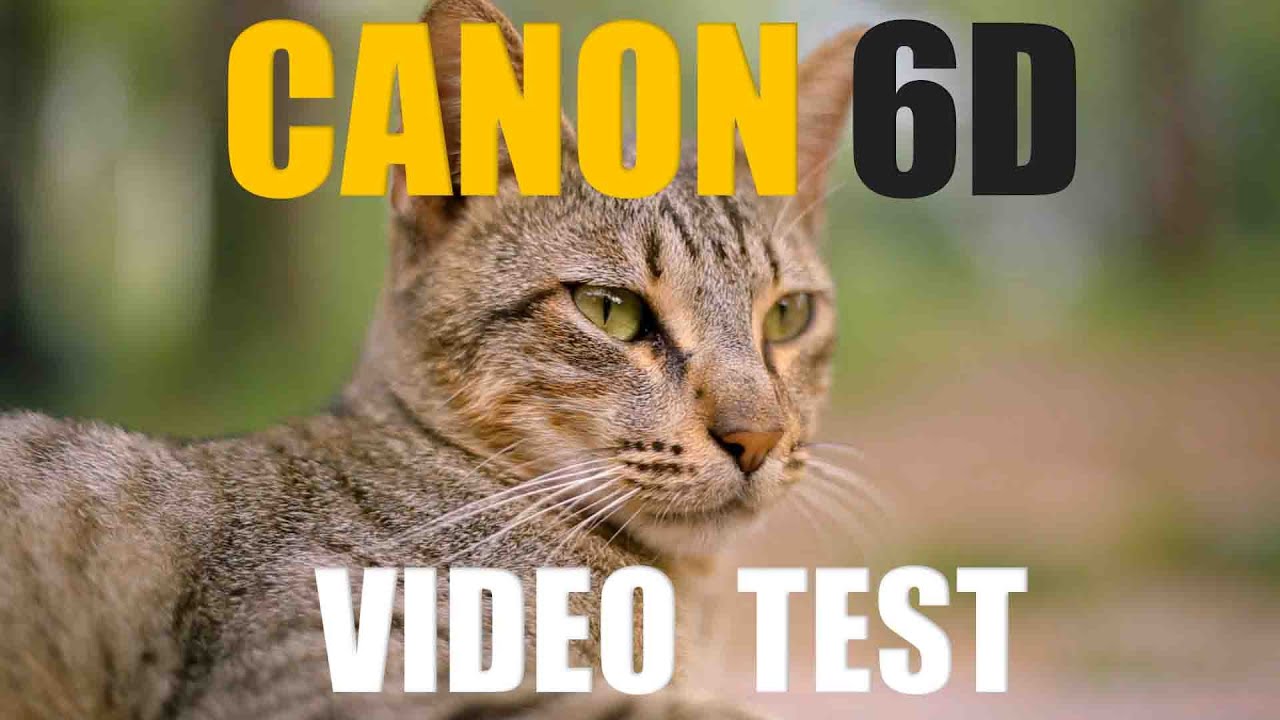 Canon 6d Video Quality Test || Tech Media 2022