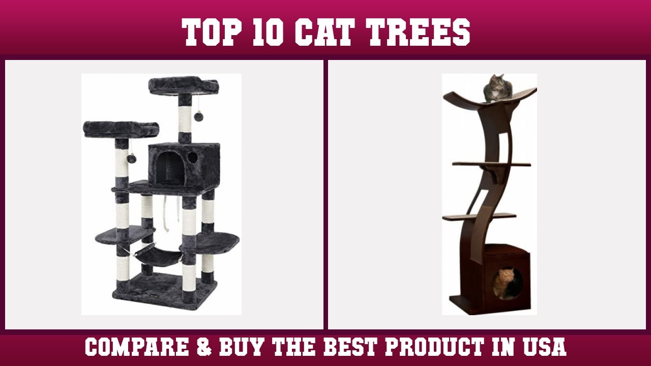 Top 10 Cat Trees to buy in USA 2021 | Price & Review
