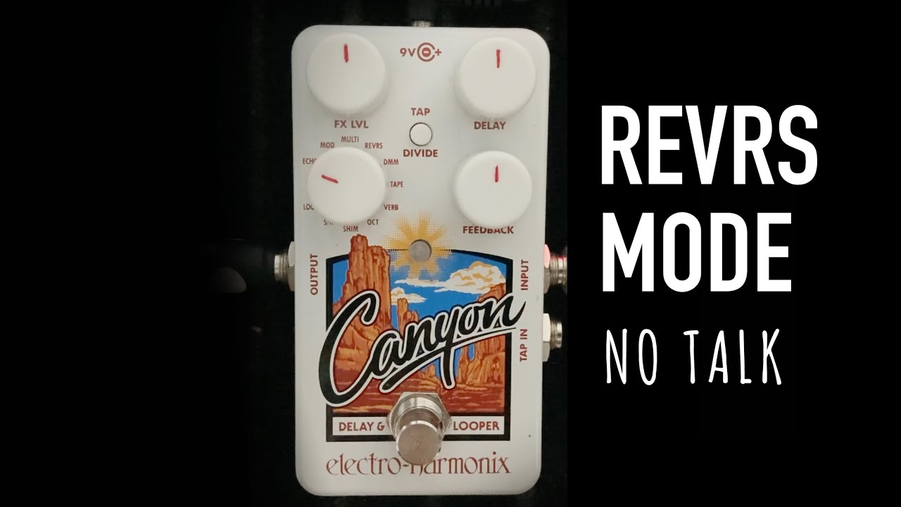 Electro-Harmonix Canyon Delay & Looper [Revrs Mode]