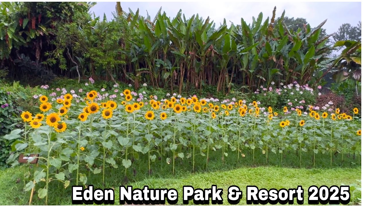 Eden Nature Park & Resort 2025 Davao City