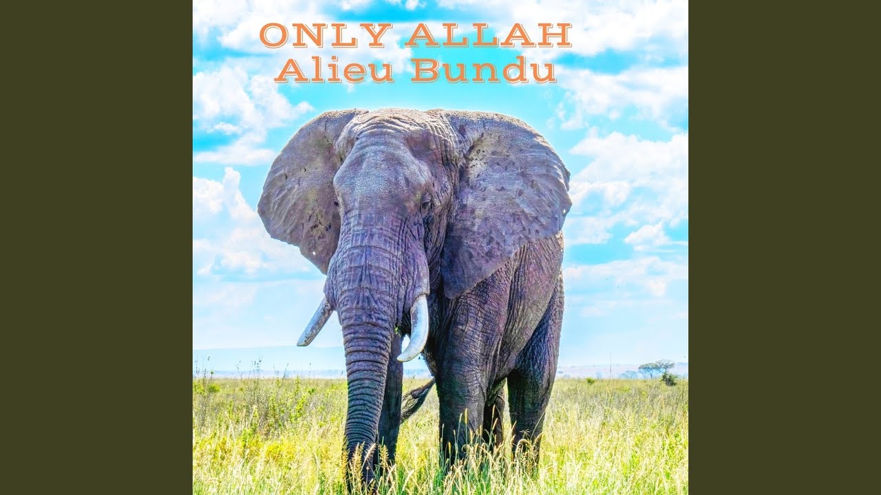 Only Allah