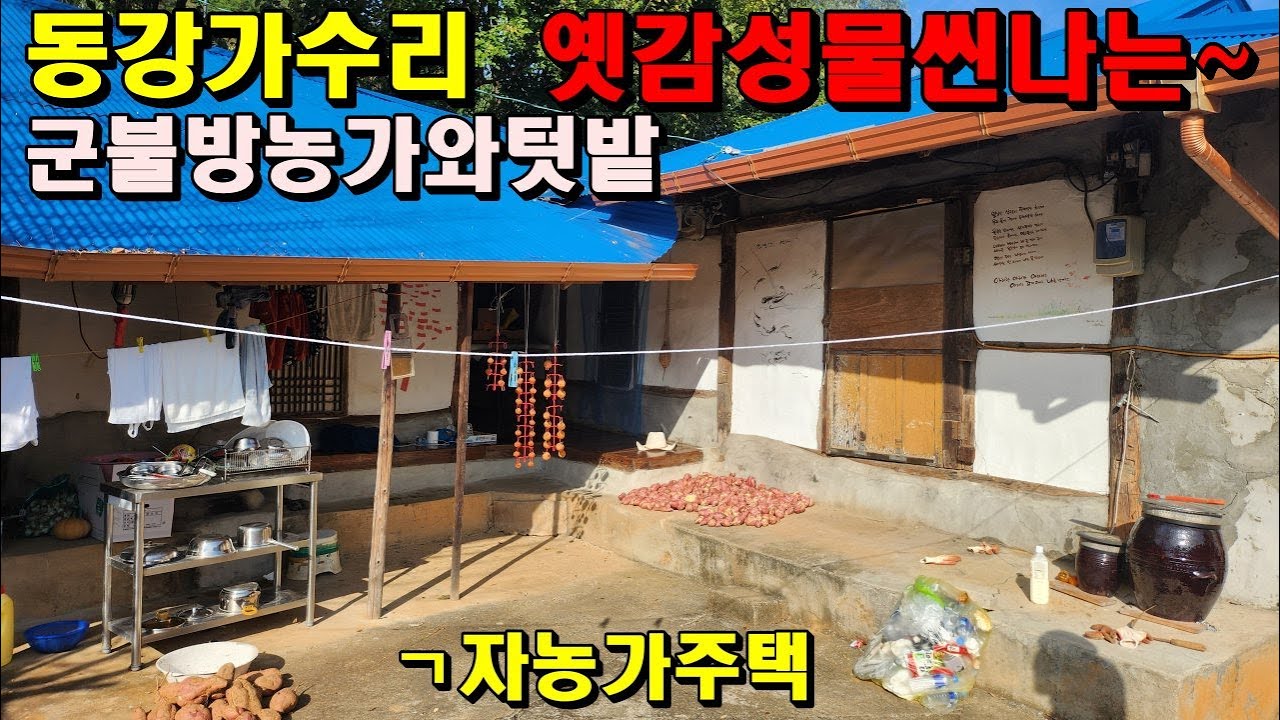 동강가수리 옛향수부르는 군불방농가주택과밭/100년도더된집/마을이내려다보이고/정선부동산매매/정선농가주택매매