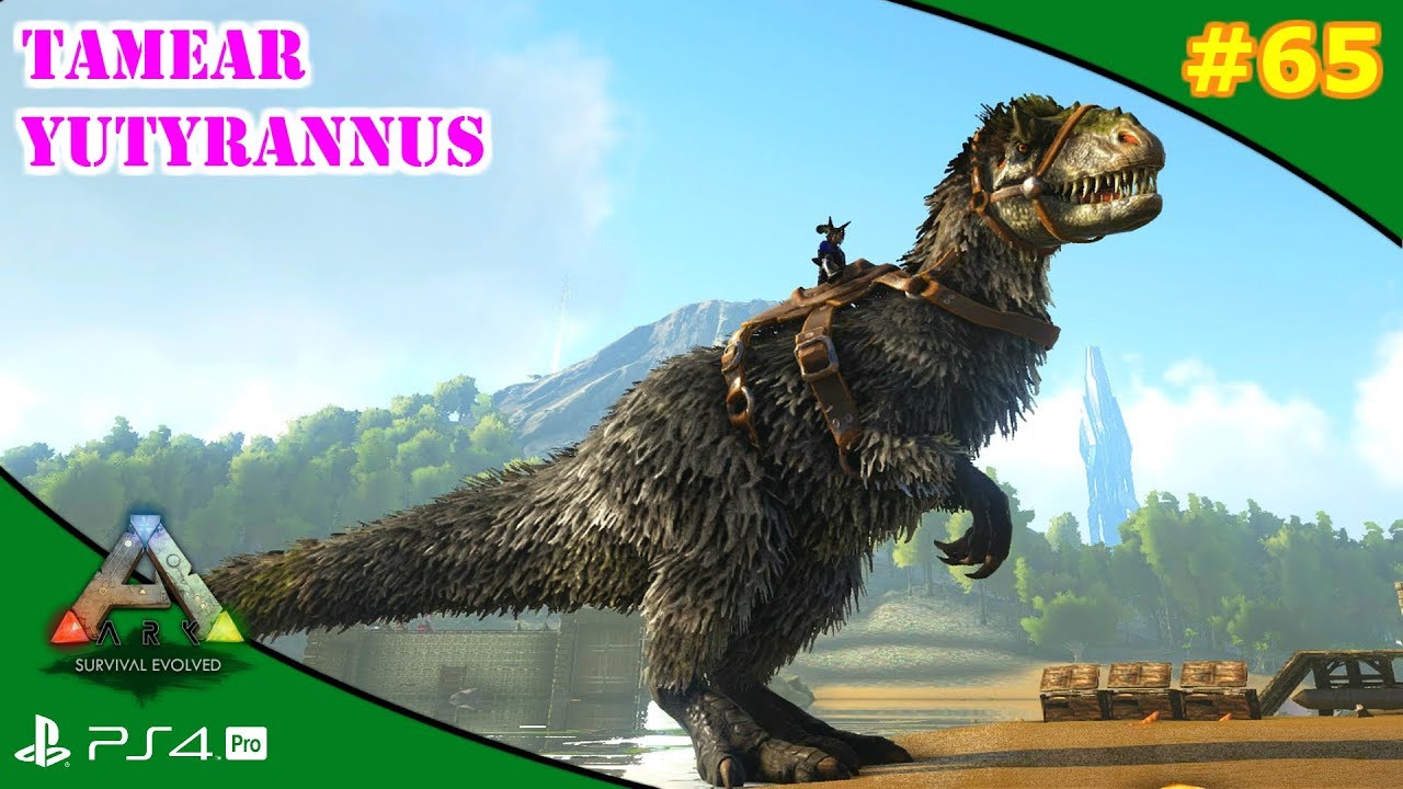 TAMEAR YUTYRANNUS (solo) | ARK [#65] | Servidor Oficial PVE