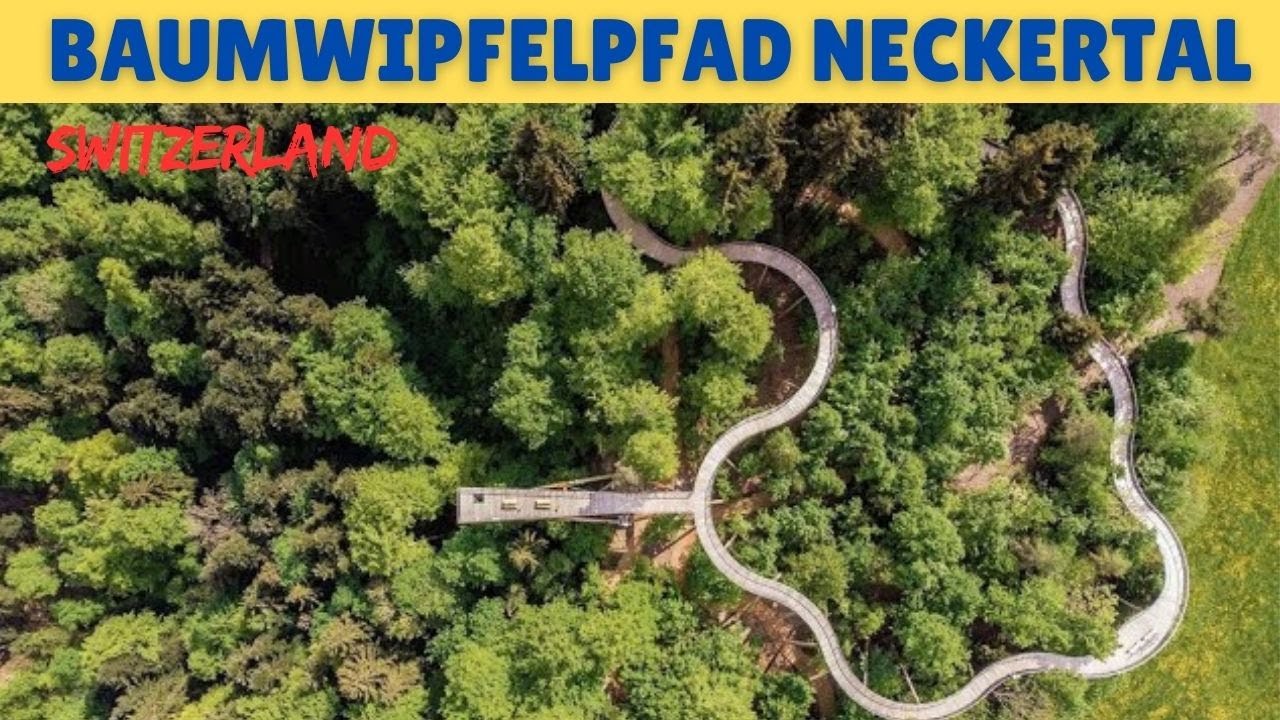Exploring Baumwipfelpfad Neckertal: A Tree-Top Adventure in Switzerland 🌳🌲🇨🇭