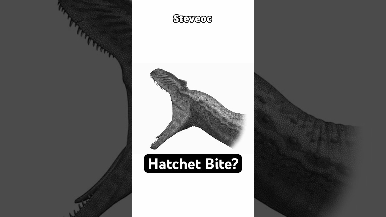 The Allosaurus Hatchet Bite?