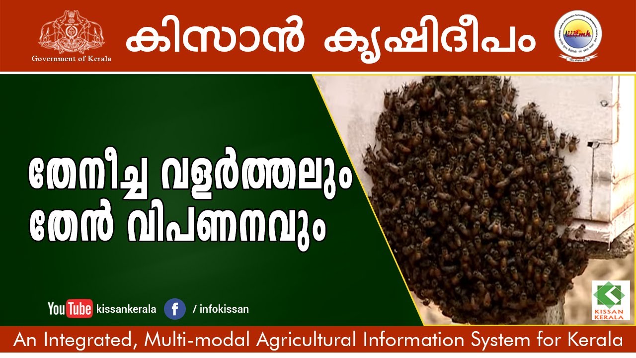 Apiculture - Training & Procurement by Horticorp