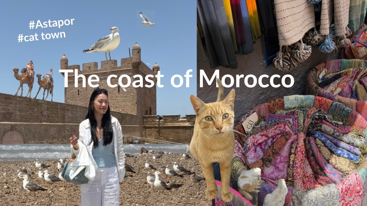 We did NOT expect Essaouira, Morocco to be like this!! (vlog)