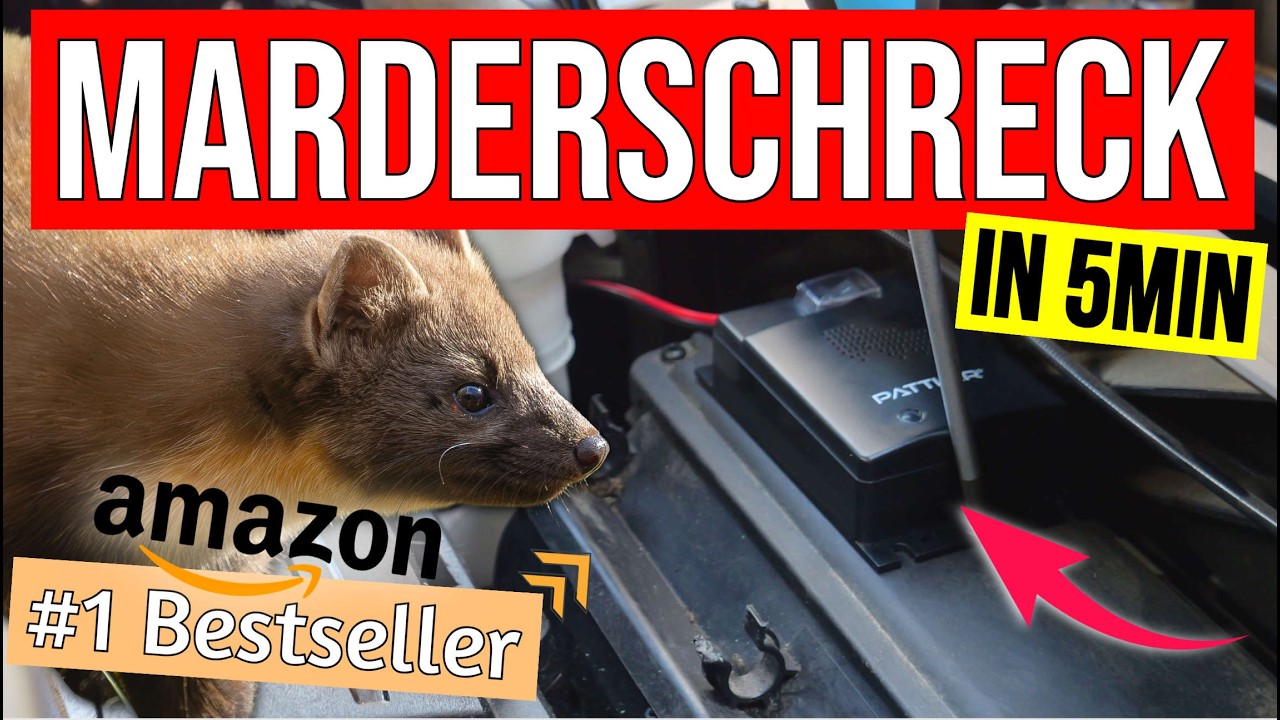 ❌ MACH DAS 👉🏻 in 5 Min Marder Schreck einbauen (Günstig & Schnell)