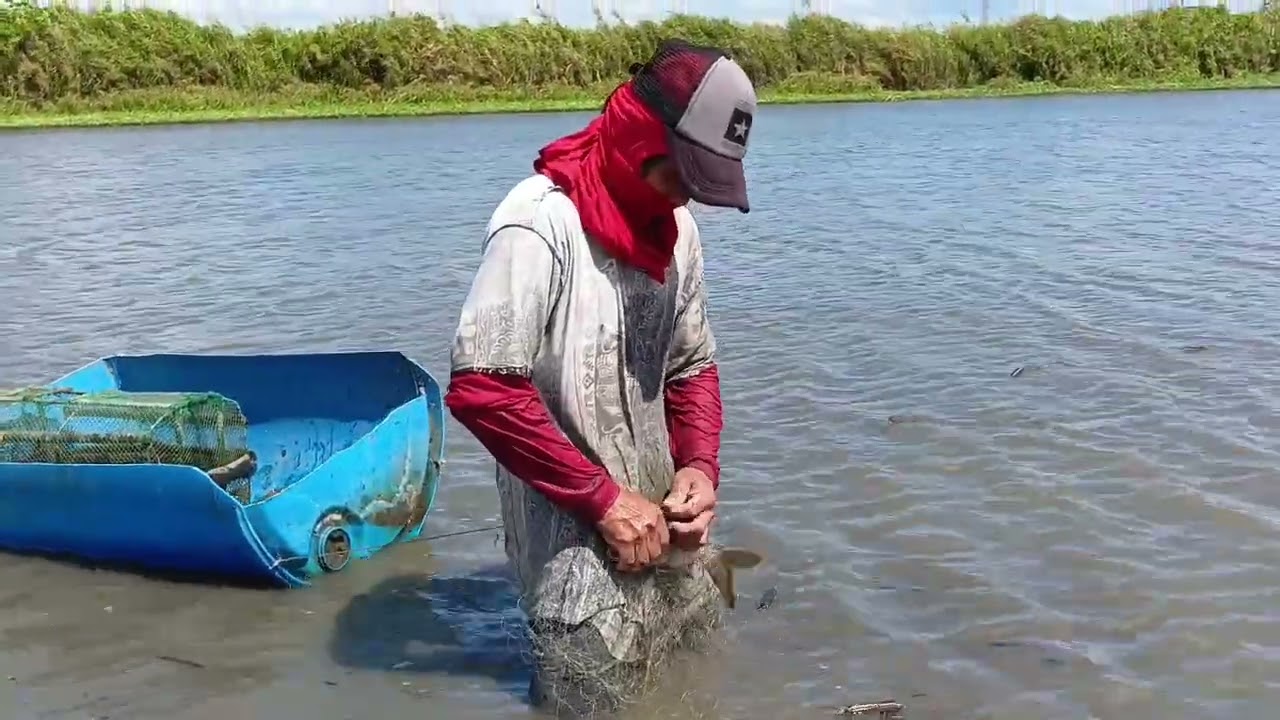 EP,56 Ng pamamante jockpot nanaman may mamaw pang dalag🐟🌾