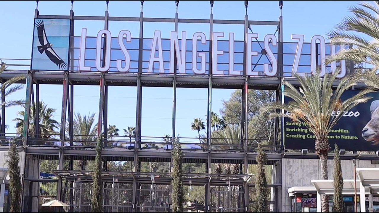Los Angeles Zoo vlog 2026 Part 1- The Gift Shops!