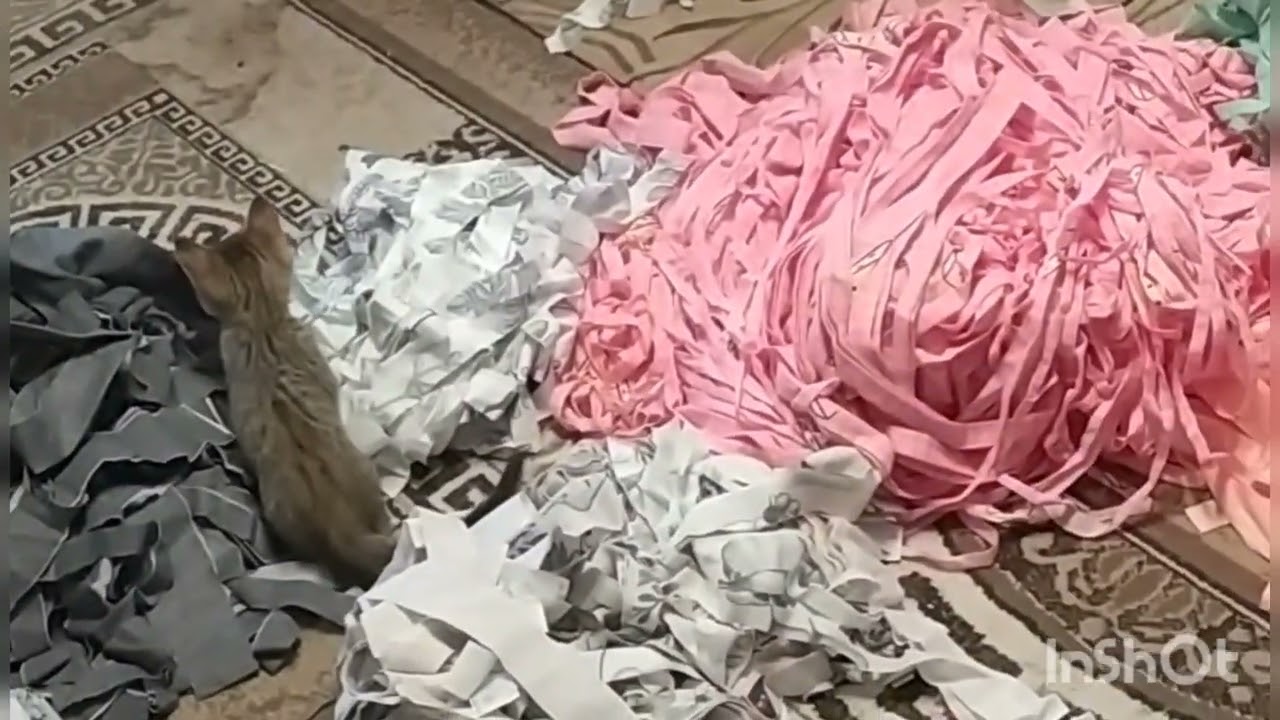 24 мая 2024 г.