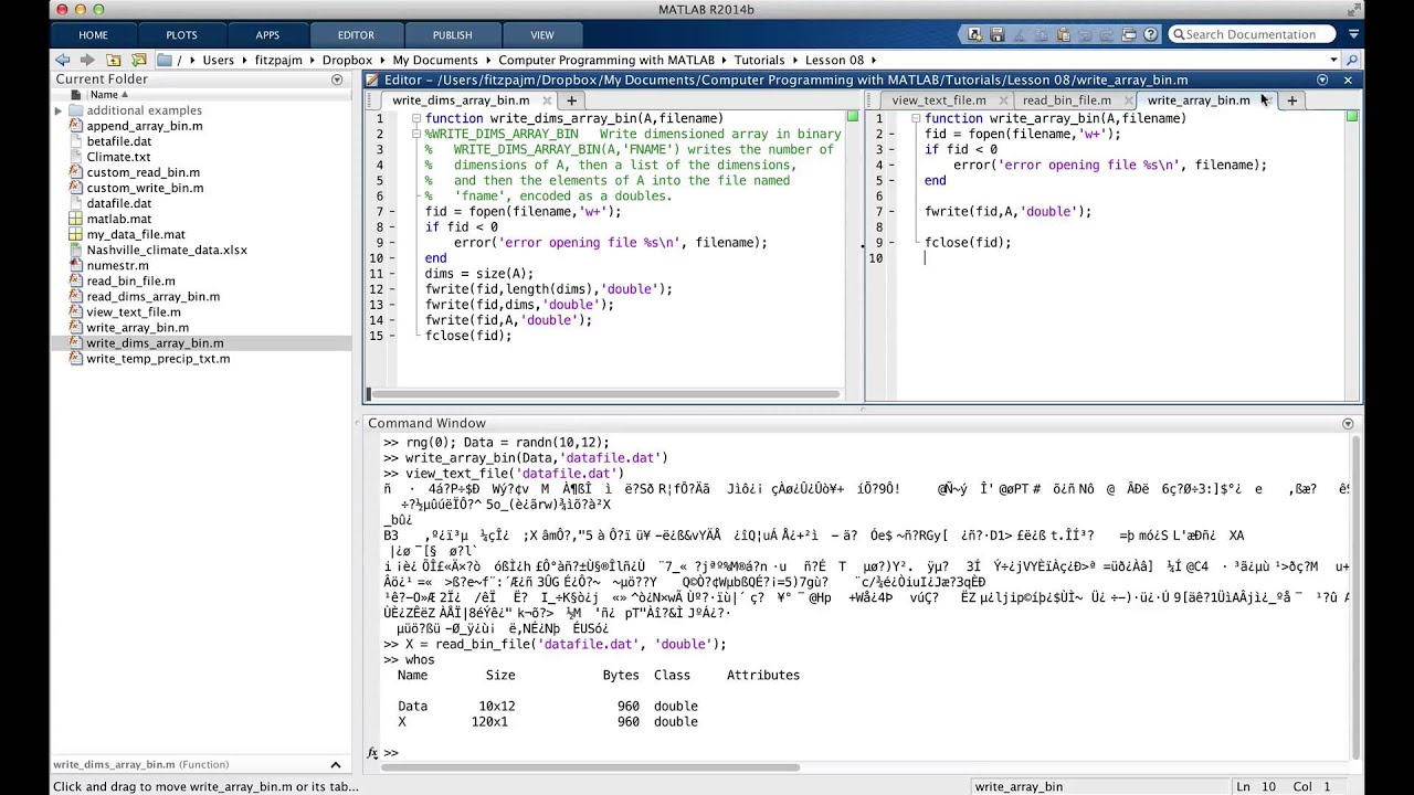Lesson 8.4 Binary Files (new version)
