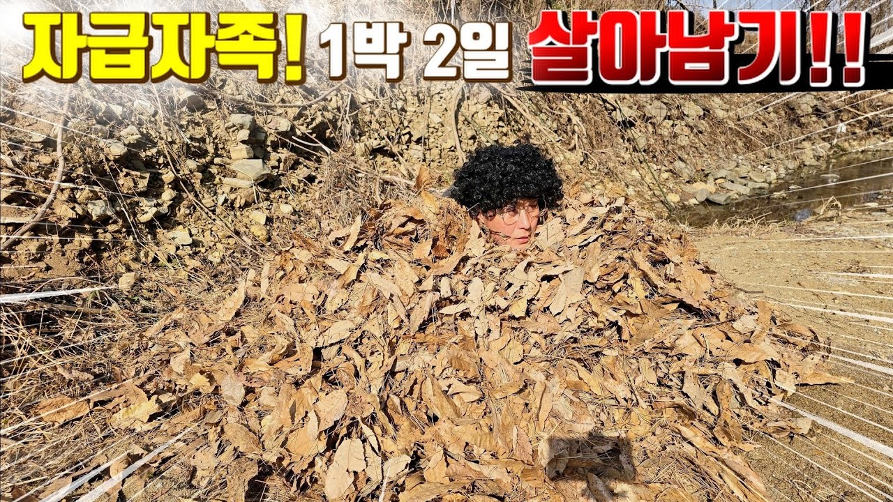 혹한기 낙엽을 이용해 1박 2일 자급자족 살아남아보자