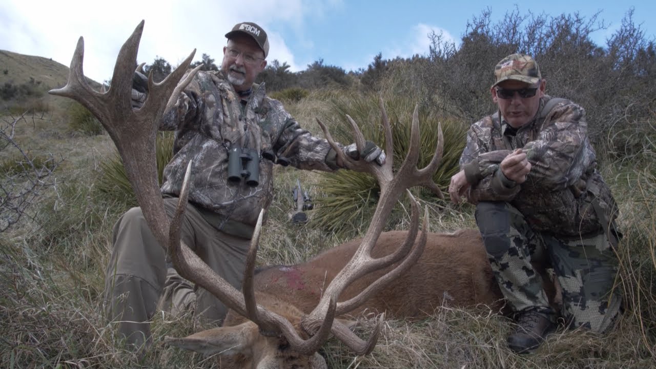 Monster New Zealand Red Stag with Rivers South Safaris