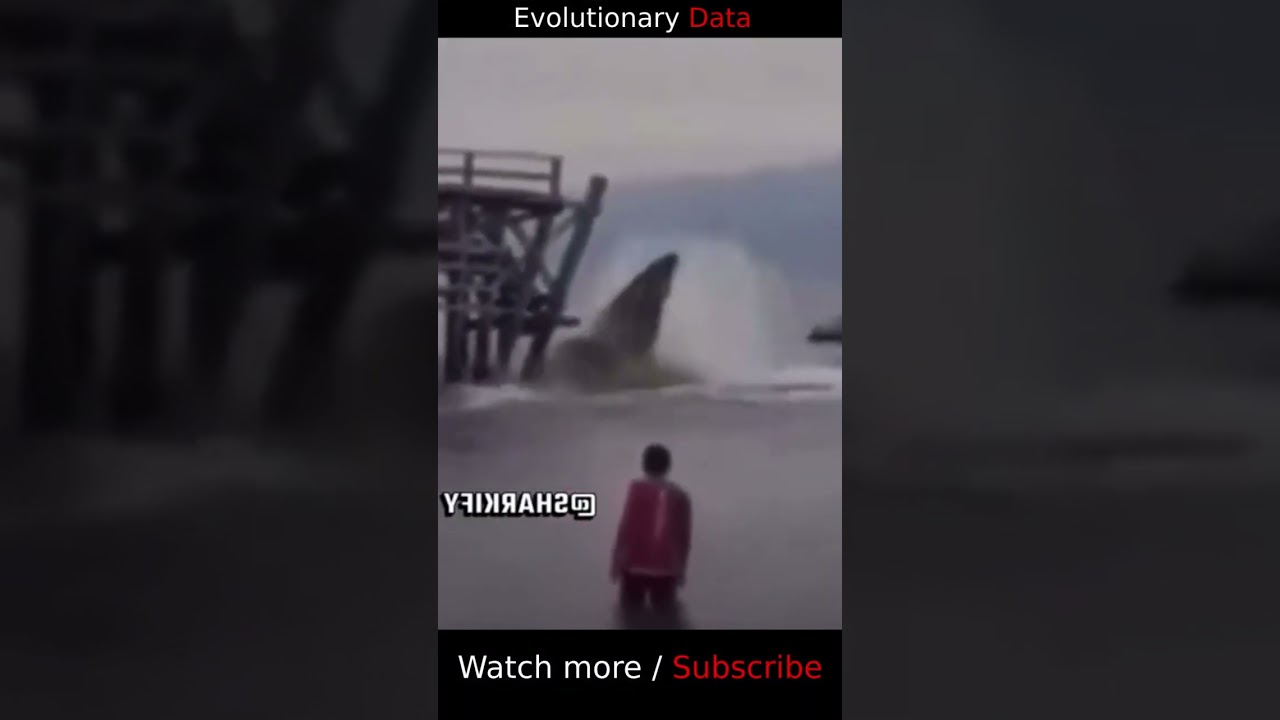 Terrifying Megalodon Attack Caught on Camera