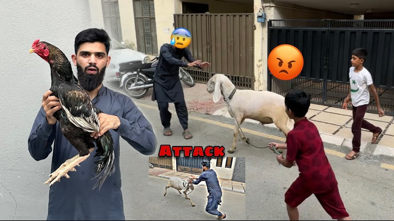 Takar maar di 😡 || Daku full recovered