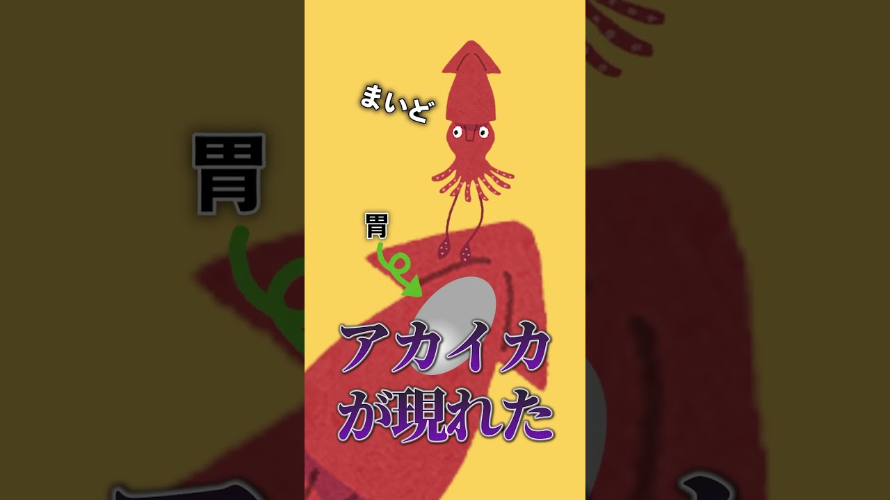 イカはしゃべれる
