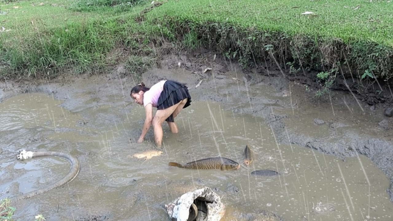 How to Catch Big Fish: Proven Fishing Tips, Harvesting Big Catfish In Mud Water | Nguyet Fishing