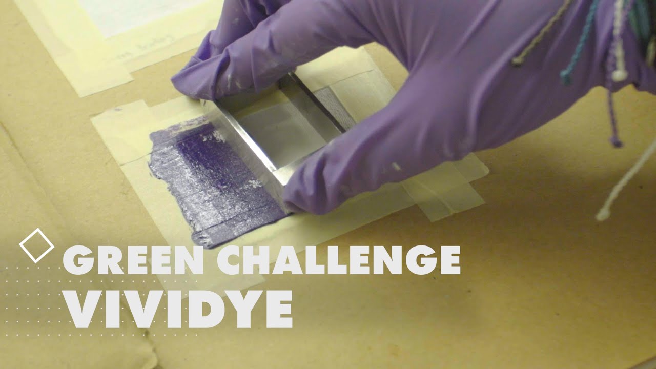 Meet Postcode Lotteries Green Challenge nominee: Vividye