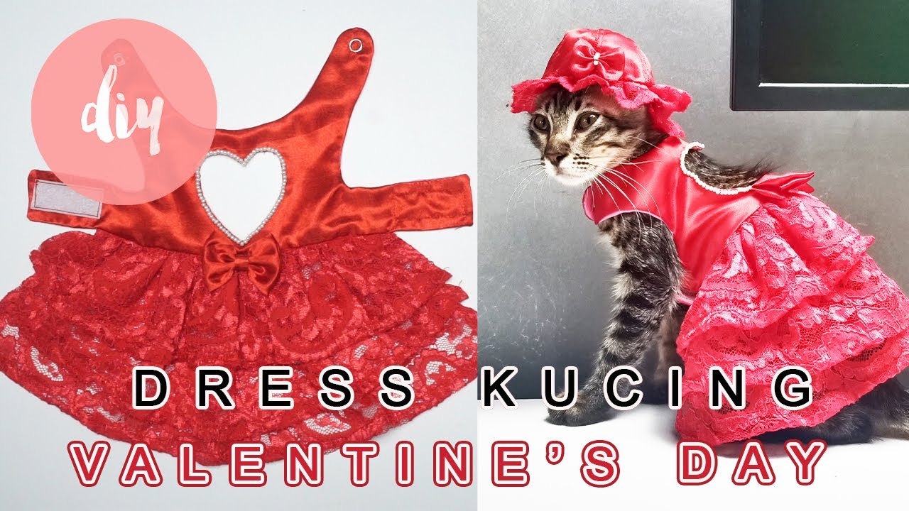 DIY BAJU KUCING SPESIAL HARI VALENTINE || DIY VALENTINE DAY SPECIAL CATS DRESS