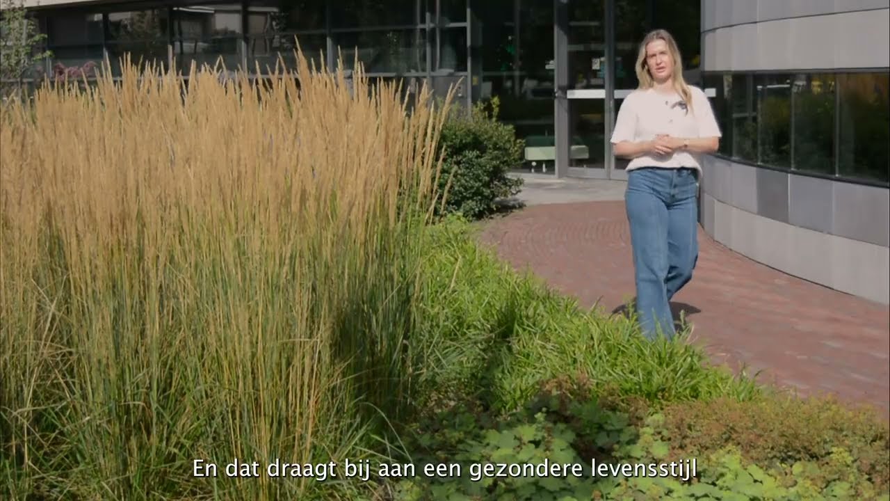Vergroening Bernheze