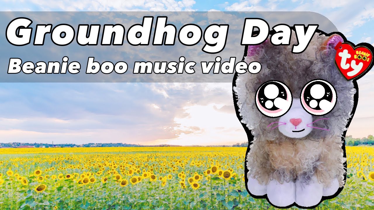 “Groundhog Day” Beanie Boo Music Video