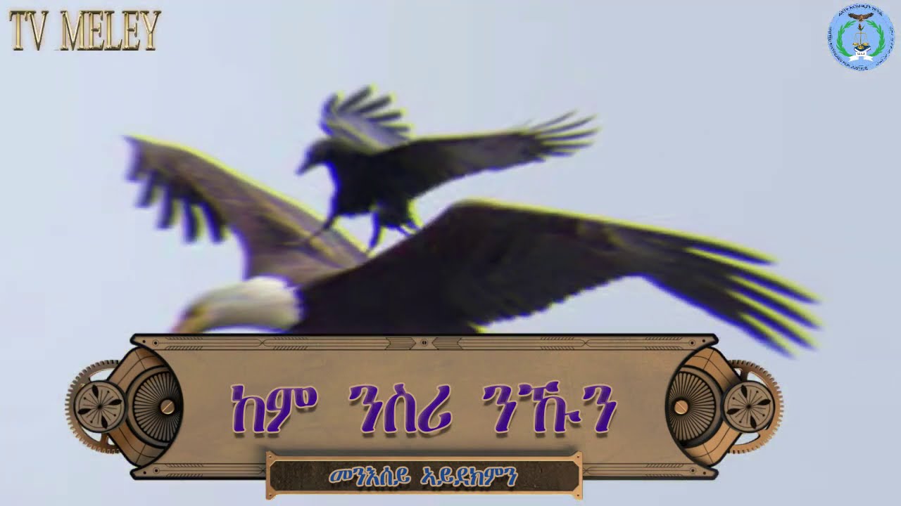 ከም ንስሪ ንኹን ምኪአለ ነጋድዮስ