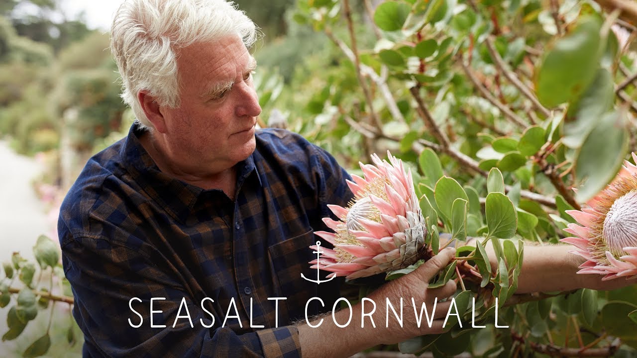 Mike Nelhams, Tresco Abbey Garden Curator: Seasalt Modern Creative
