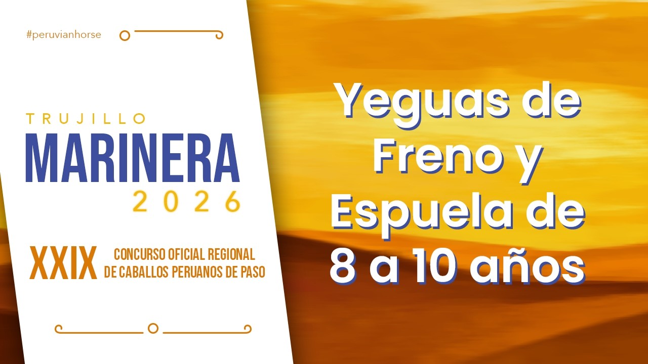 Yeguas de Freno y Espuela de 8 a 10 años del XXIX Concurso Marinera Trujillo 2026
