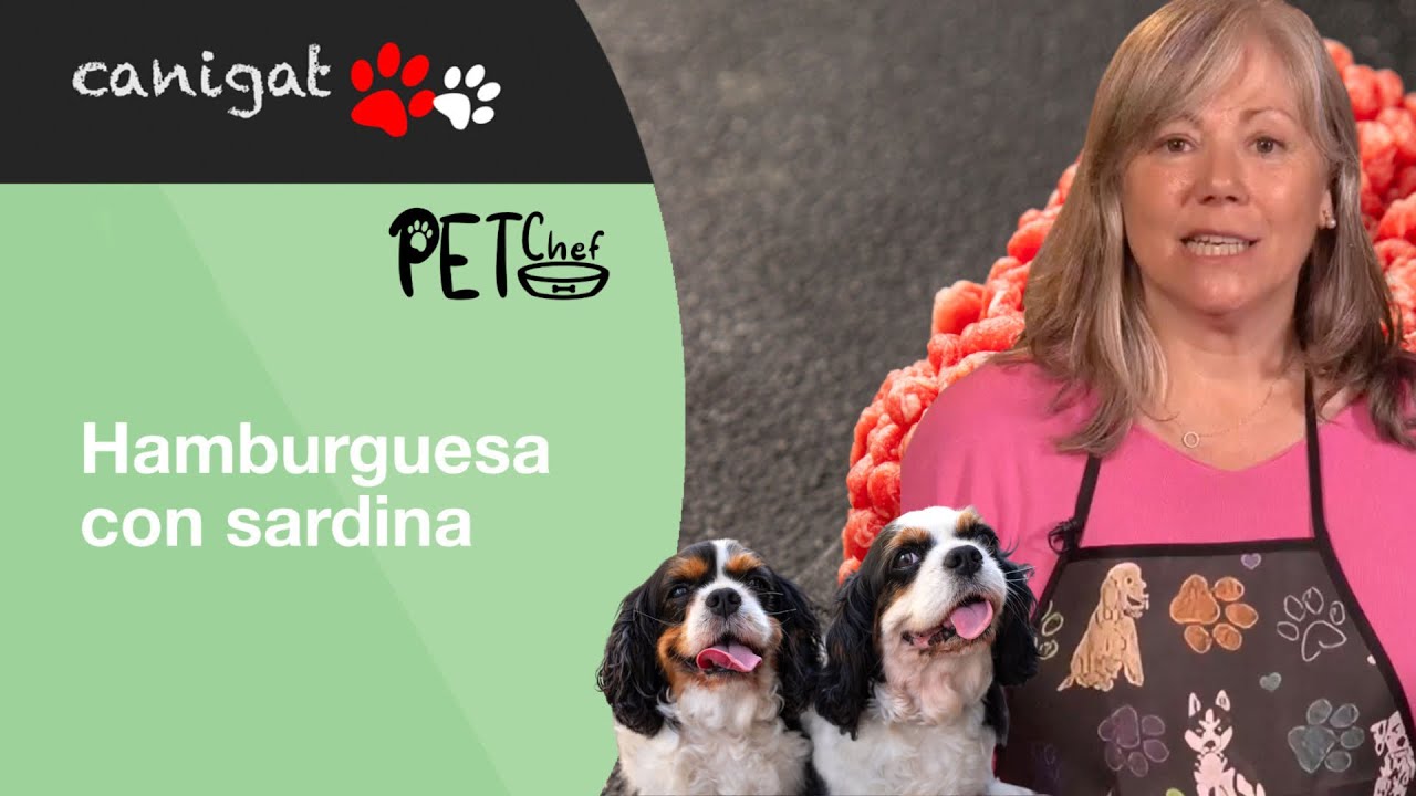 HAMBURGUESA con sardinas para PERROS  🐶 PETCHEF