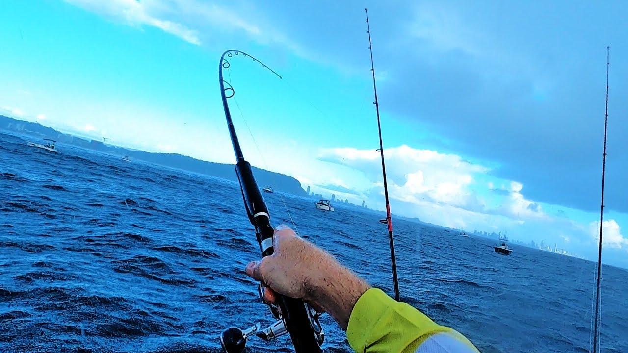 Floating baits for Mackerel. Fish everywhere!