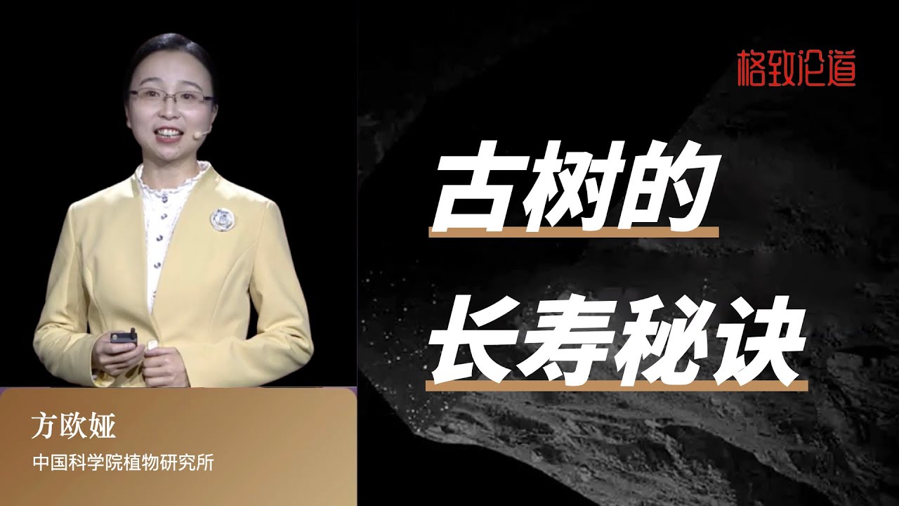 1013｜方欧娅：古树的长寿秘诀｜中国科学院植物研究所