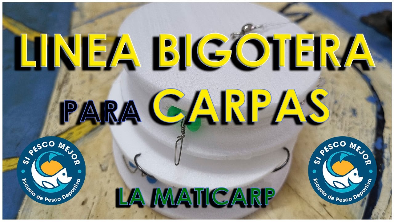 LINEA BIGOTERA PARA CARPAS / MUY BUEN APAREJO, MIRA !
