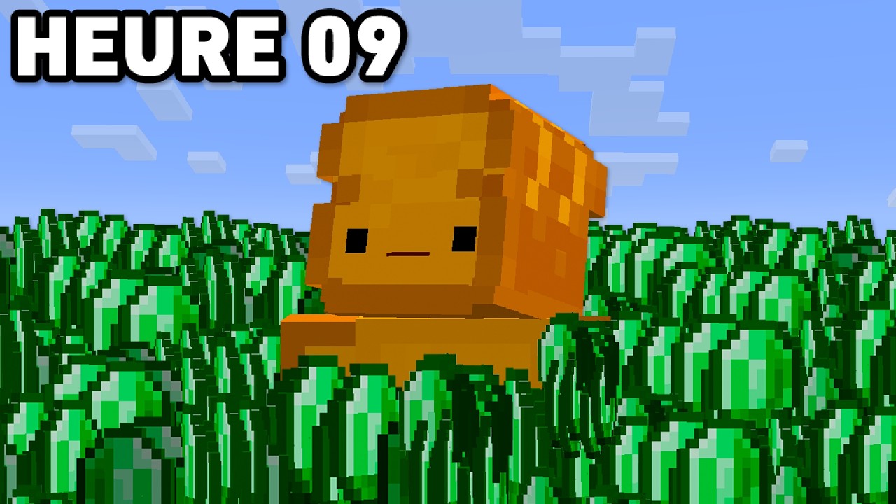 J'ai Obtenu 1,000,000 d'émeraudes en 24 Heures sur Minecraft
