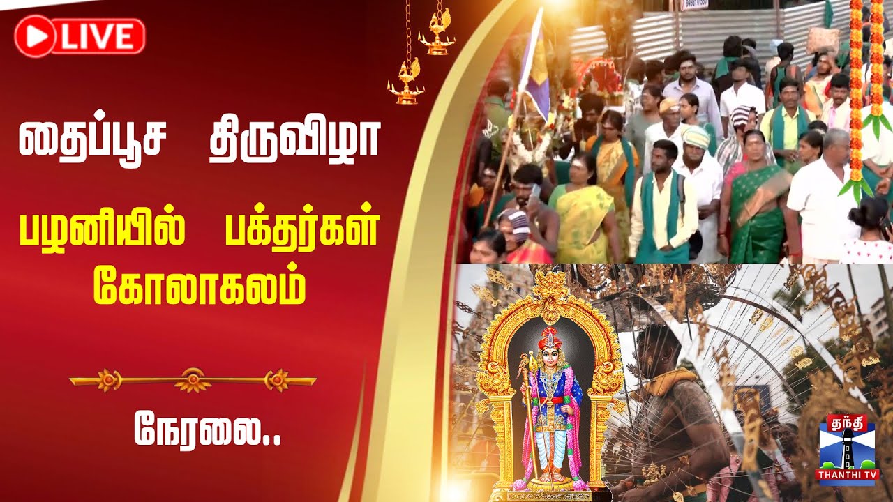 🔴LIVE : Palani | Thaipusam 2026 | தைப்பூசத் திருநாள் - பழனியில் பக்தர்கள் கோலாகலம்