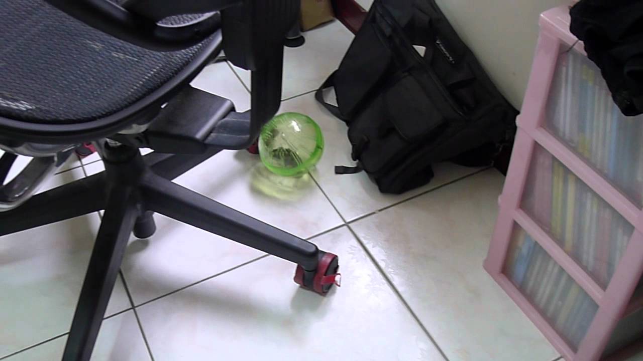 鼠球
