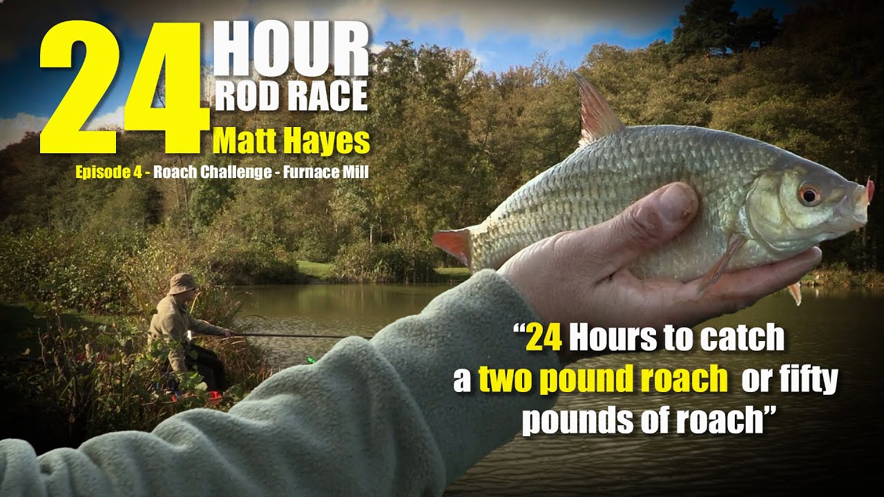 Matt Hayes | 24HRR  Ep4 | Roach Fishing Challenge “Catch 50lbs of Roach or a 2 pound Specimen!