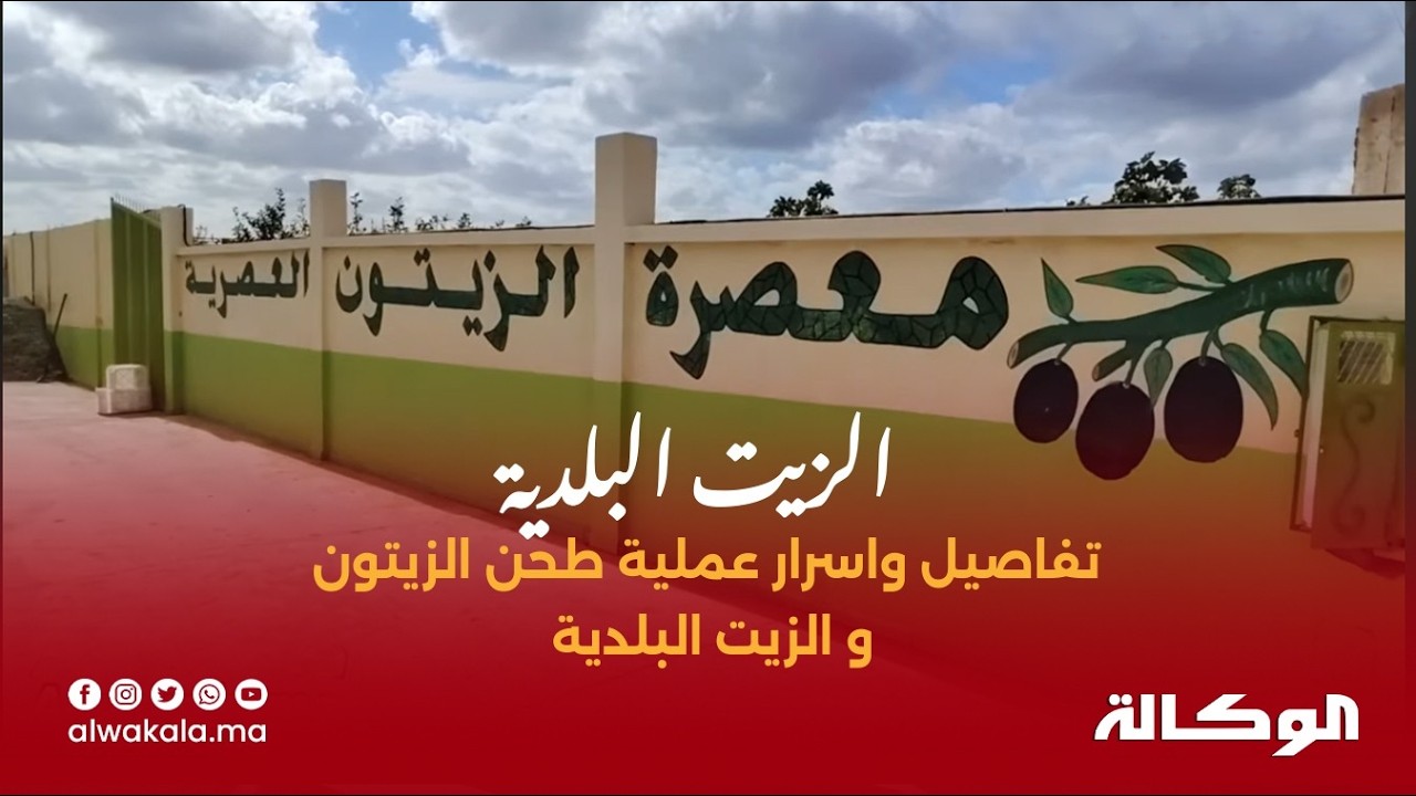إقبال متزايد على زيت الزيتون بمعصرة زهرة الحياة بفضل الجودة وانخفاض الثمن