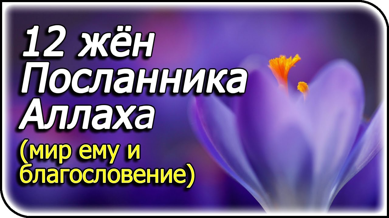 Посланник Аллаха (мир ему и благословение) и его жёны