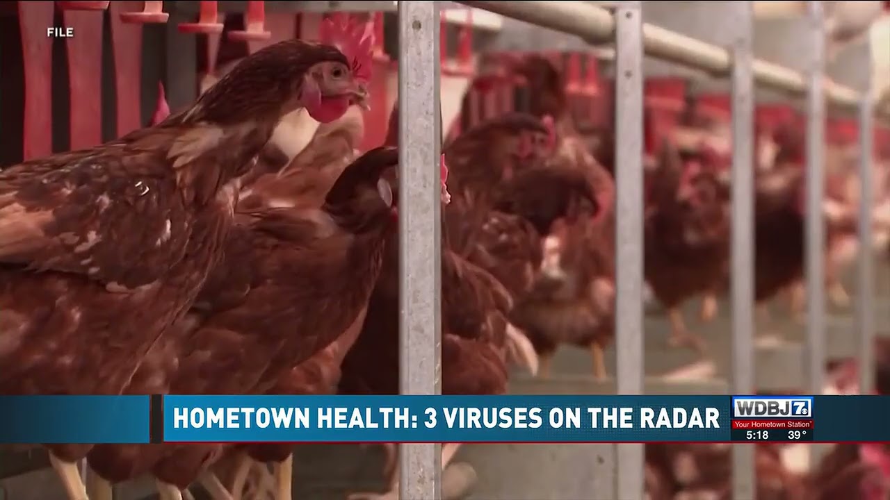 Hometown Health: Three Viruses on the Radar