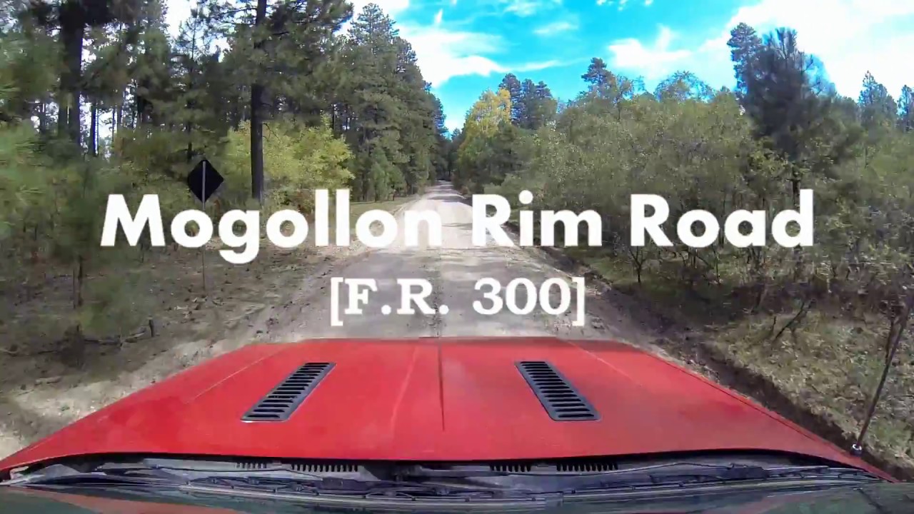 Rim Road (F.R. 300) | Mogollon Rim, AZ
