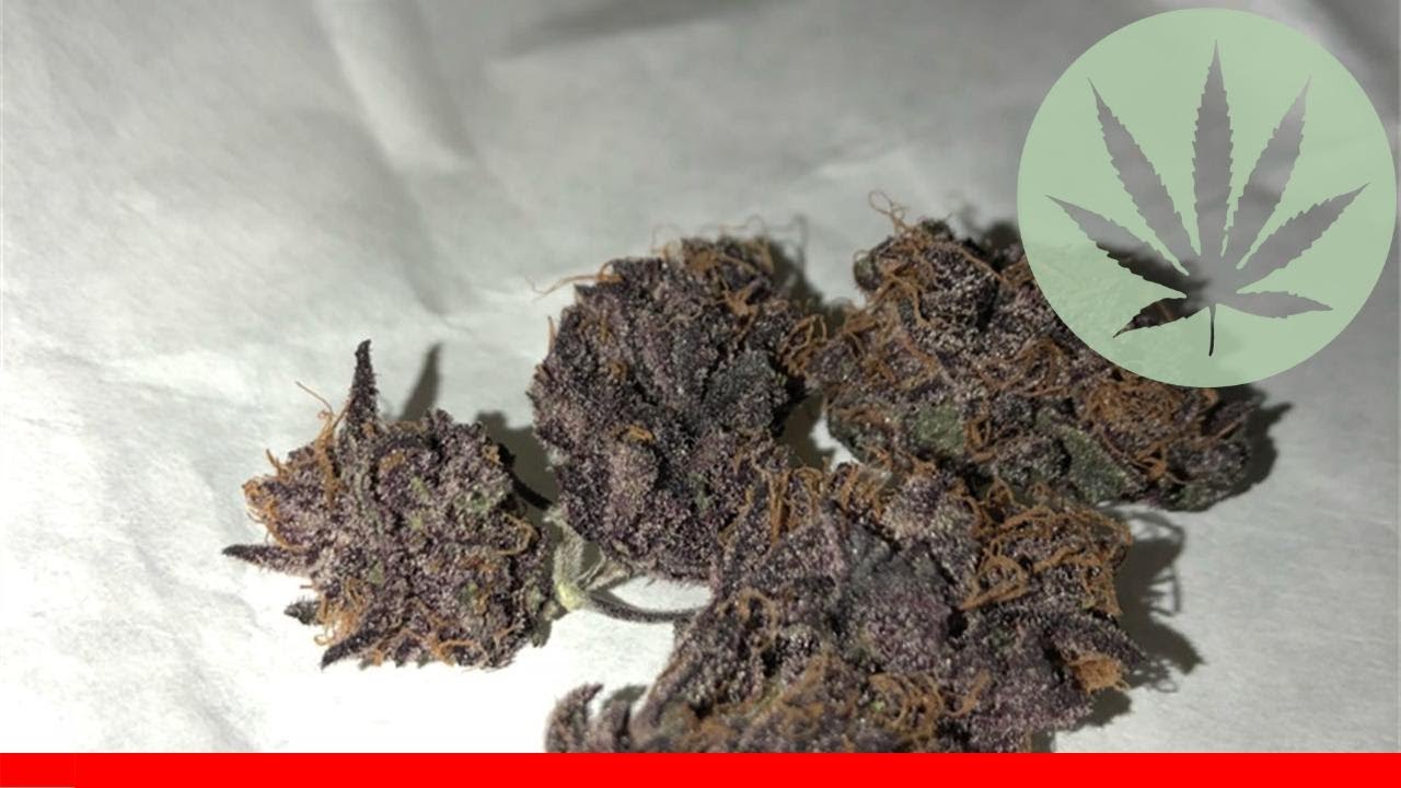 Black Cherry Cheesecake - All About This Strain