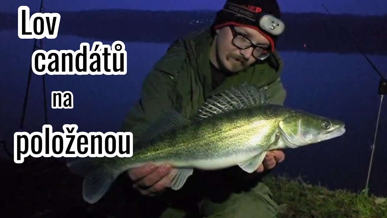 Lov candátů na položenou 