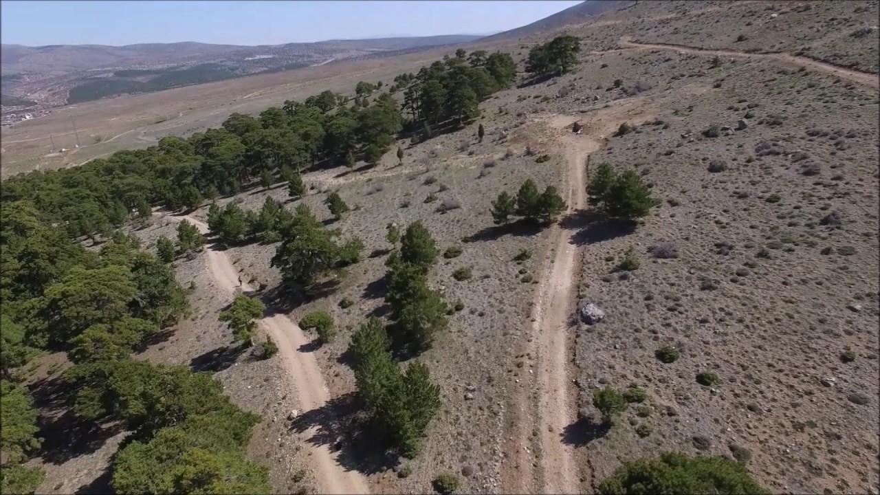 KONYA-KIZILÖREN YAŞLI KARAÇAM KALINTI ORMANI