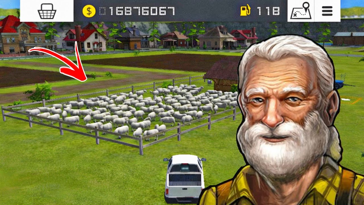 The Sheep Shed Is Full & Feed Them To Get Wool | Farming Simulator 16 Gameplay! Timelapse